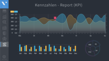 Kennzahlen-Report © SHS Plus GmbH